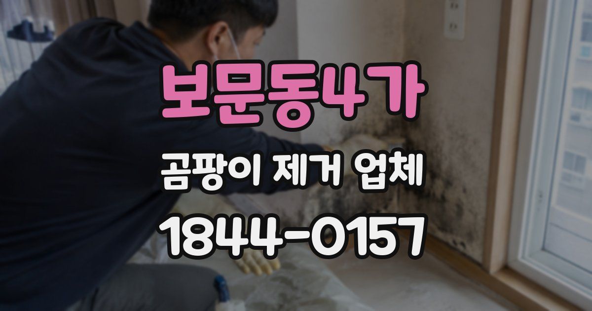 보문동4가 곰팡이 제거 업체