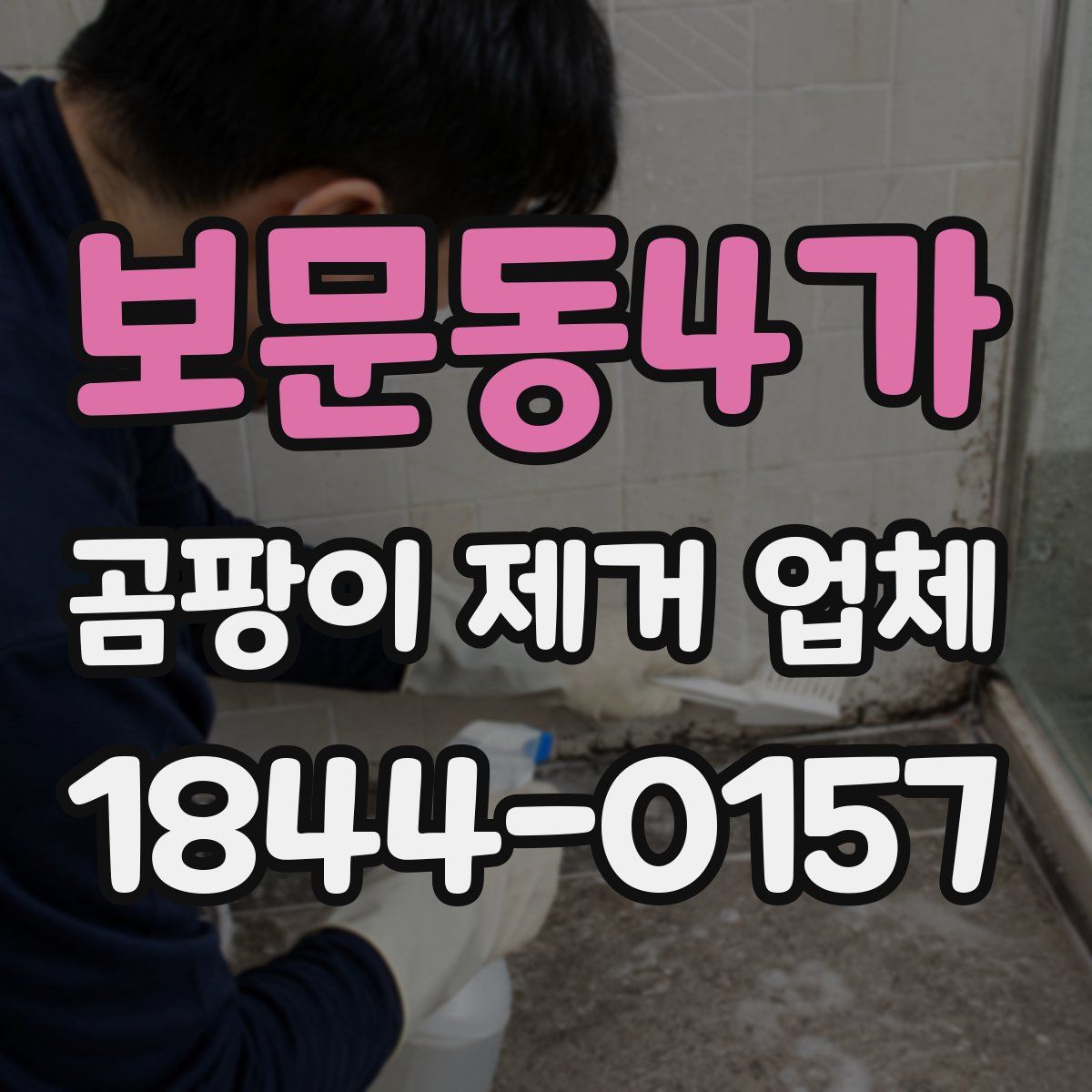 보문동4가 곰팡이 제거 업체
