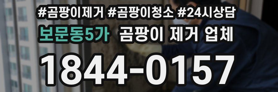 보문동5가 곰팡이 제거 업체