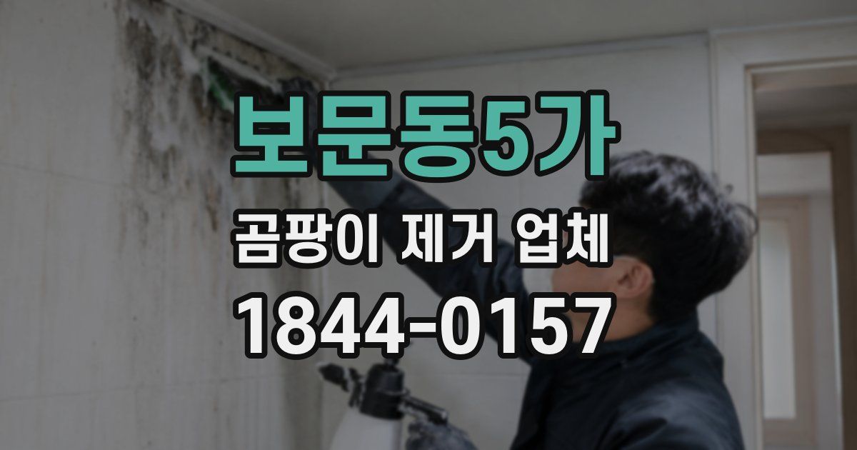 보문동5가 곰팡이 제거 업체