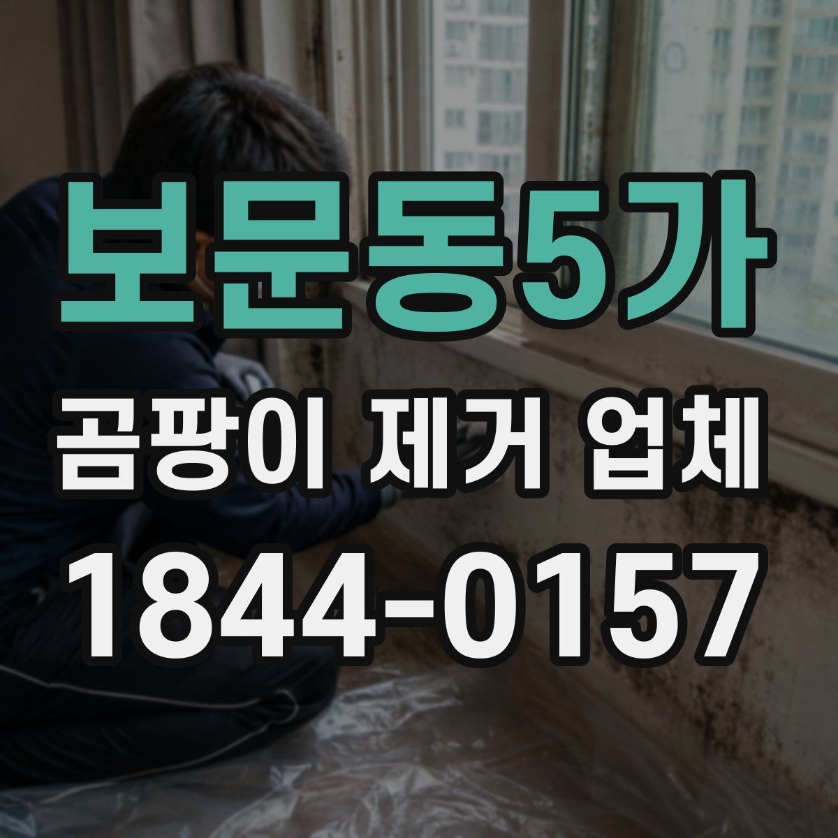 보문동5가 곰팡이 제거 업체