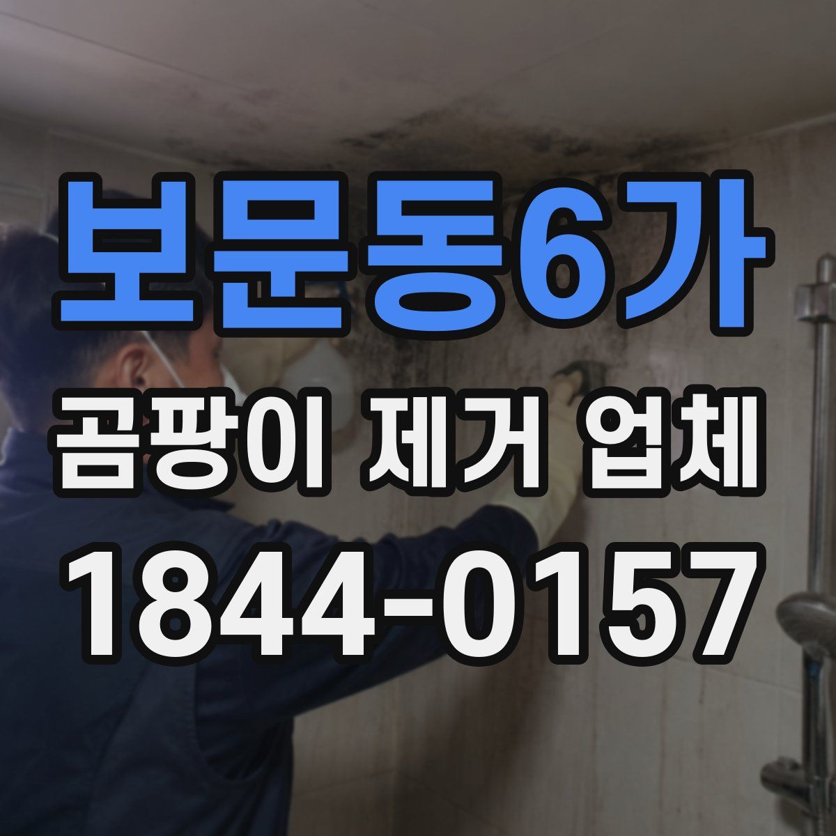 보문동6가 곰팡이 제거 업체
