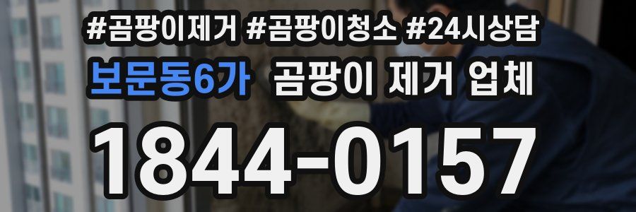보문동6가 곰팡이 제거 업체