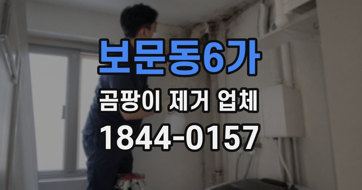 보문동6가 곰팡이 제거 업체
