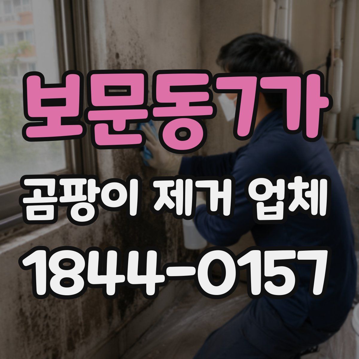 보문동7가 곰팡이 제거 업체
