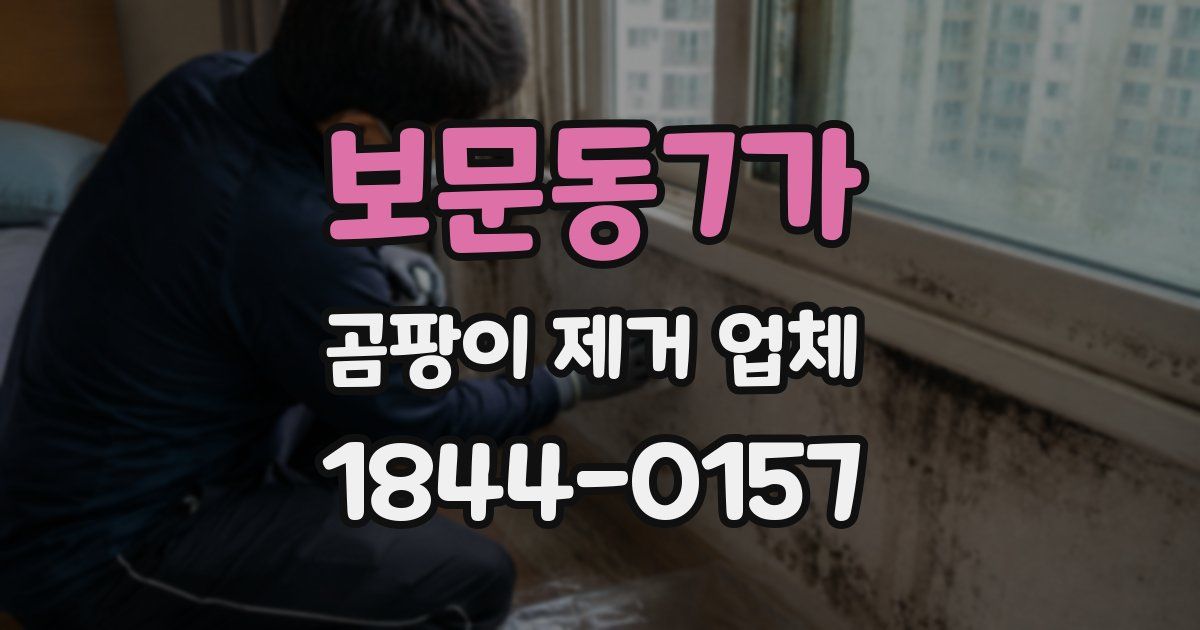 보문동7가 곰팡이 제거 업체