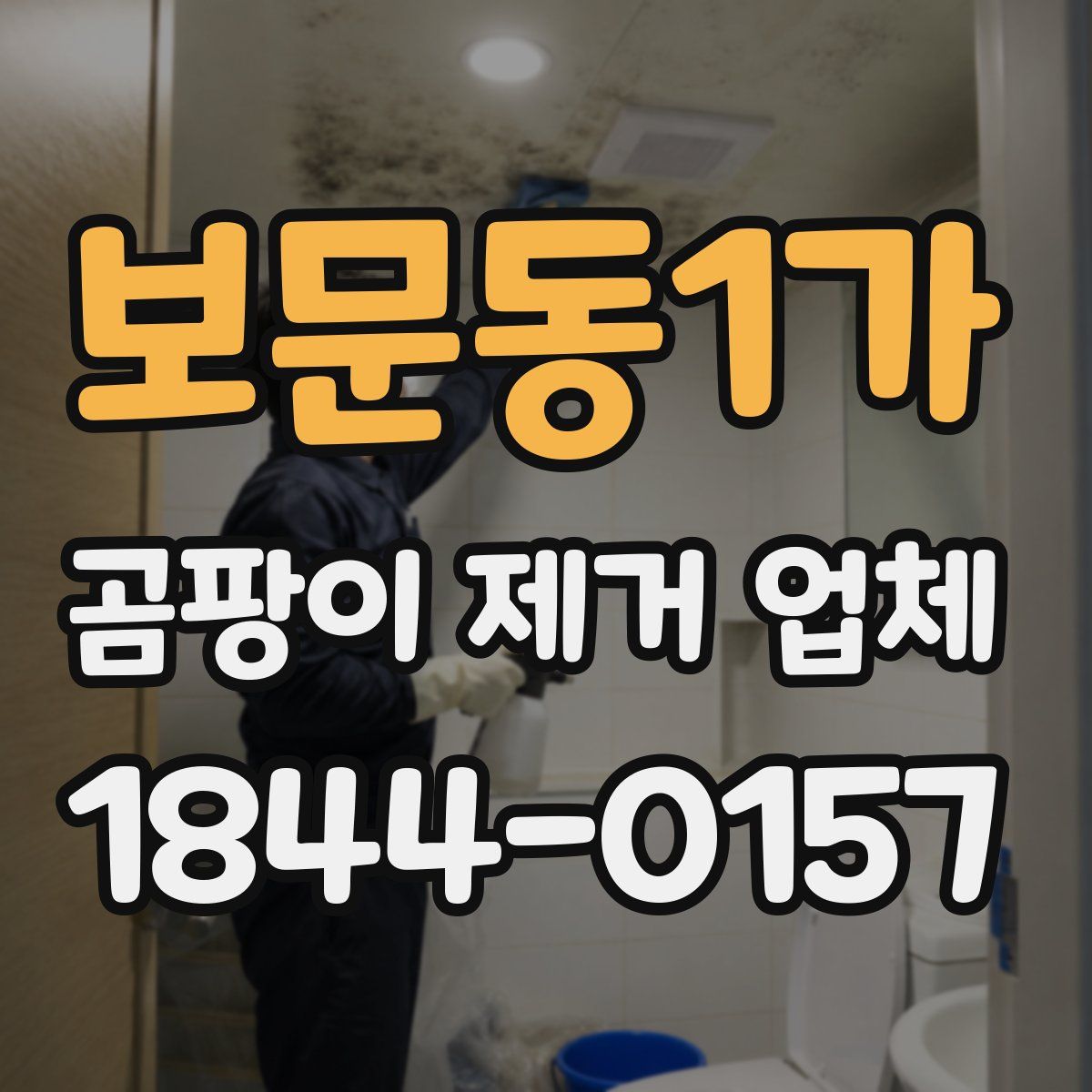 보문동1가 곰팡이 제거 업체