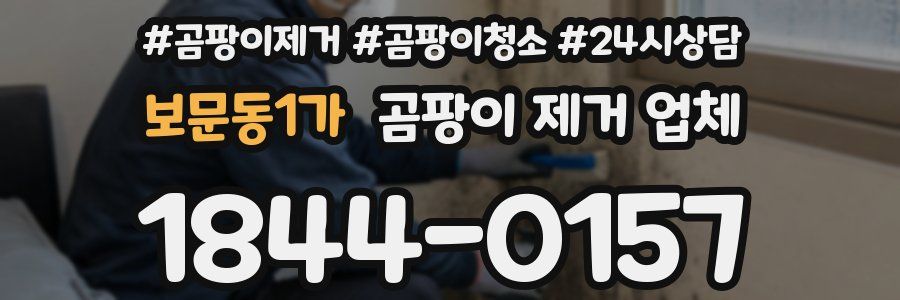 보문동1가 곰팡이 제거 업체
