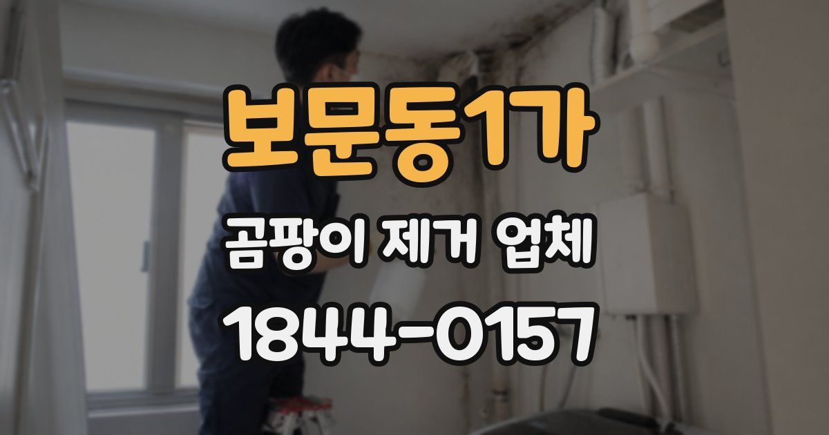 보문동1가 곰팡이 제거 업체