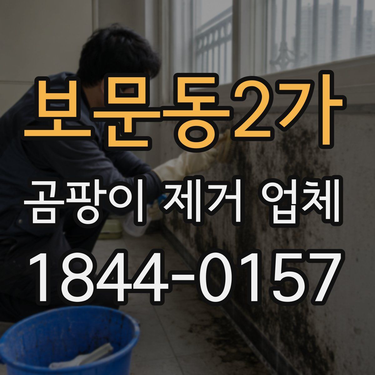 보문동2가 곰팡이 제거 업체