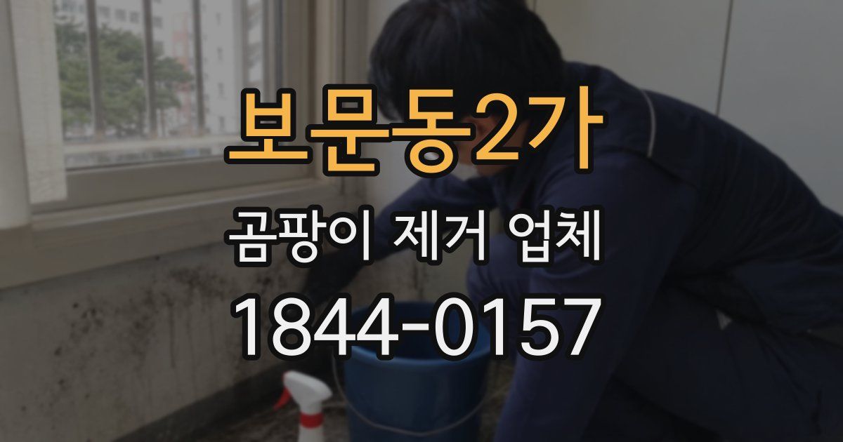 보문동2가 곰팡이 제거 업체