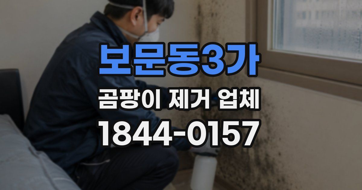보문동3가 곰팡이 제거 업체