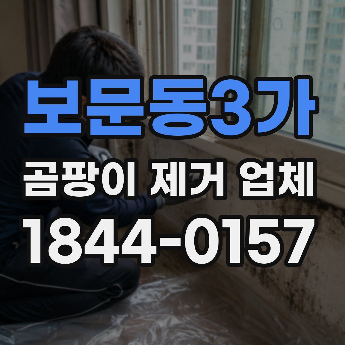 보문동3가 곰팡이 제거 업체