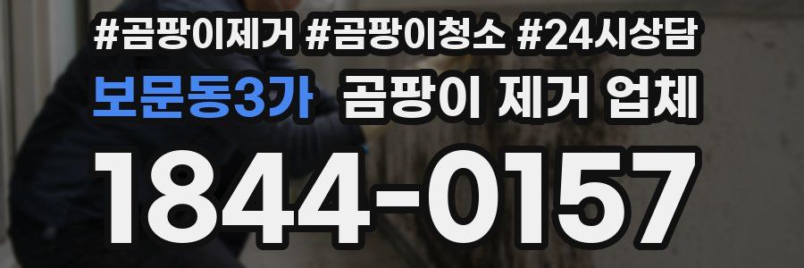 보문동3가 곰팡이 제거 업체