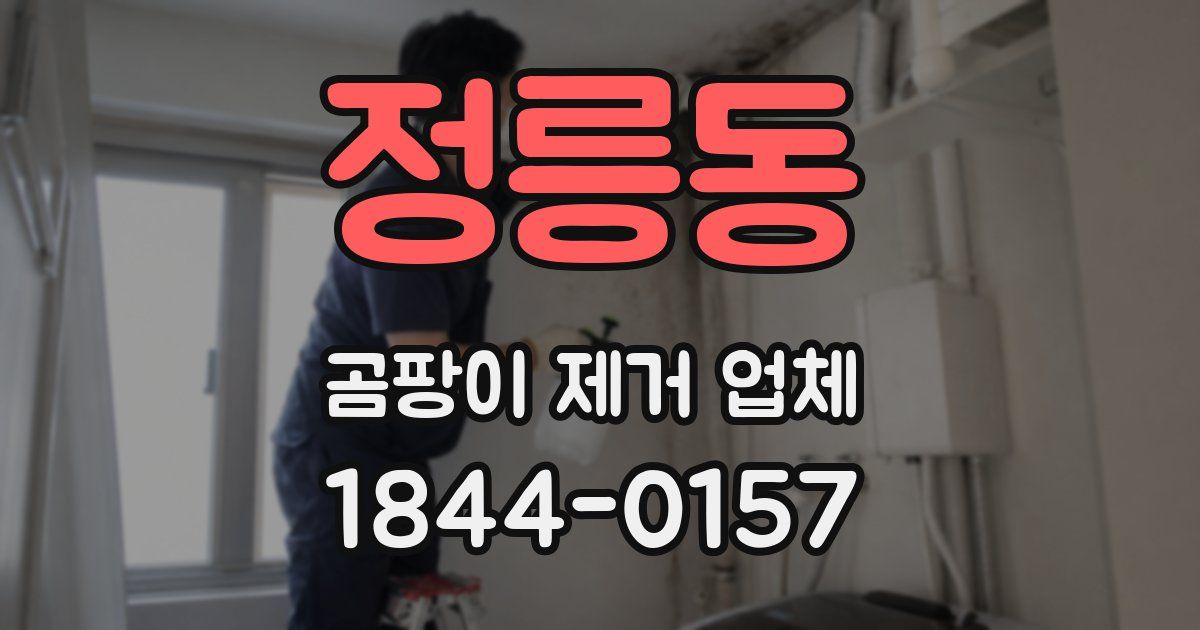 정릉동 곰팡이 제거 업체