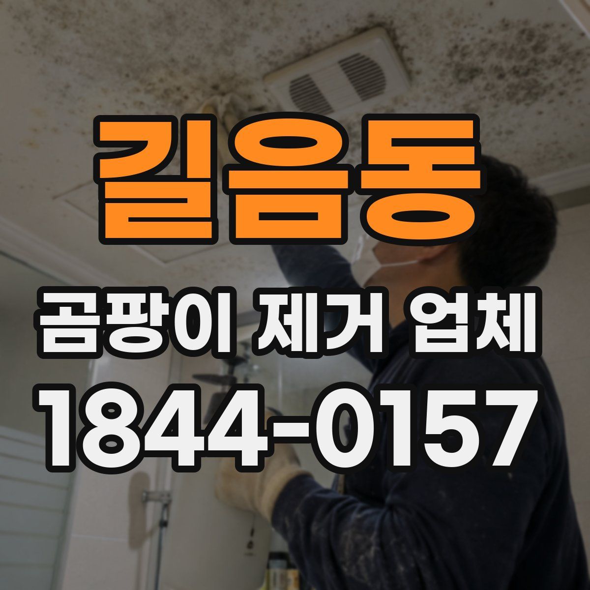 길음동 곰팡이 제거 업체