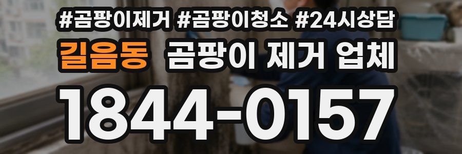 길음동 곰팡이 제거 업체