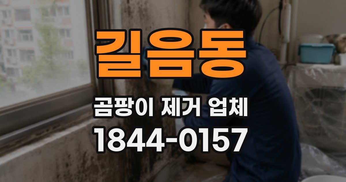 길음동 곰팡이 제거 업체