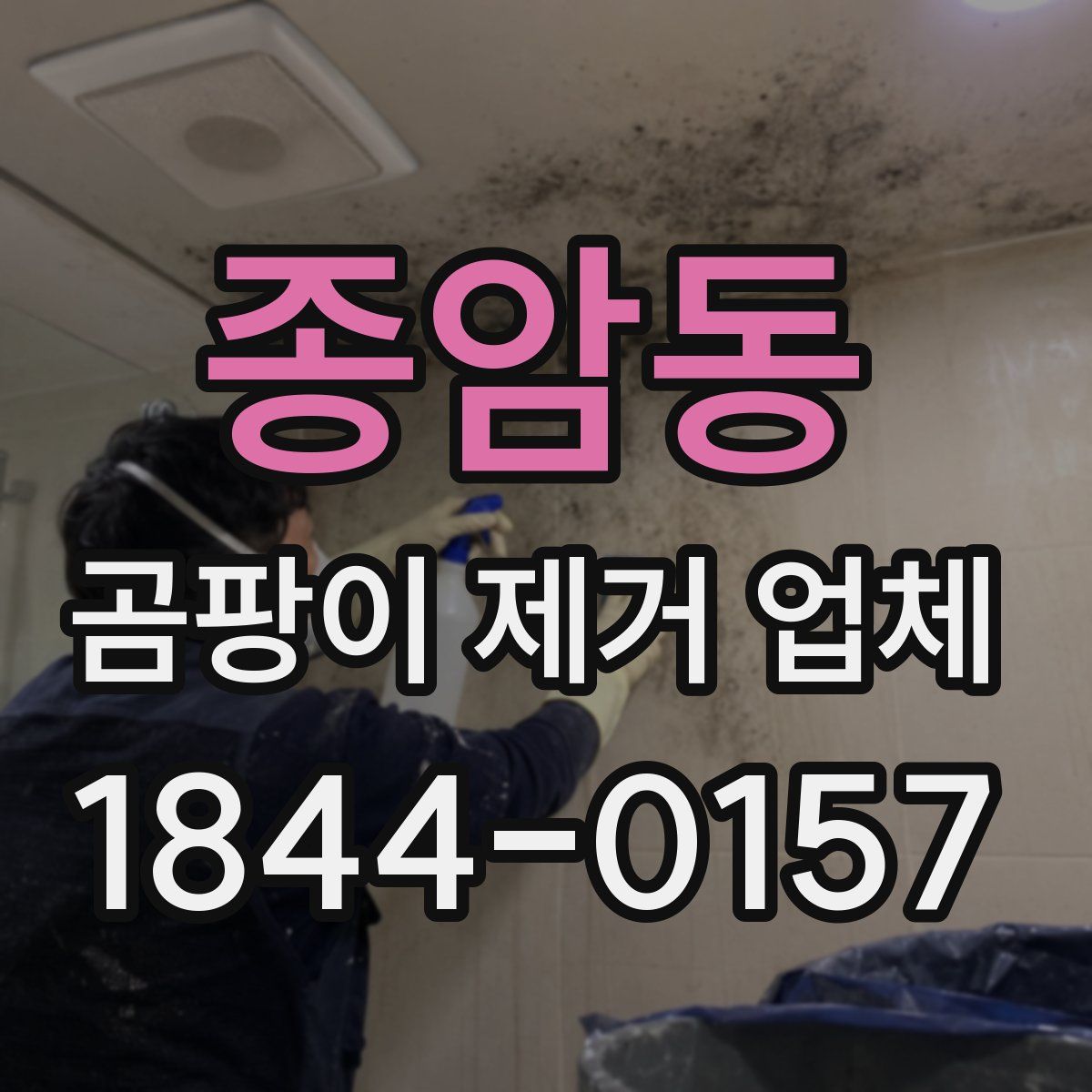 종암동 곰팡이 제거 업체