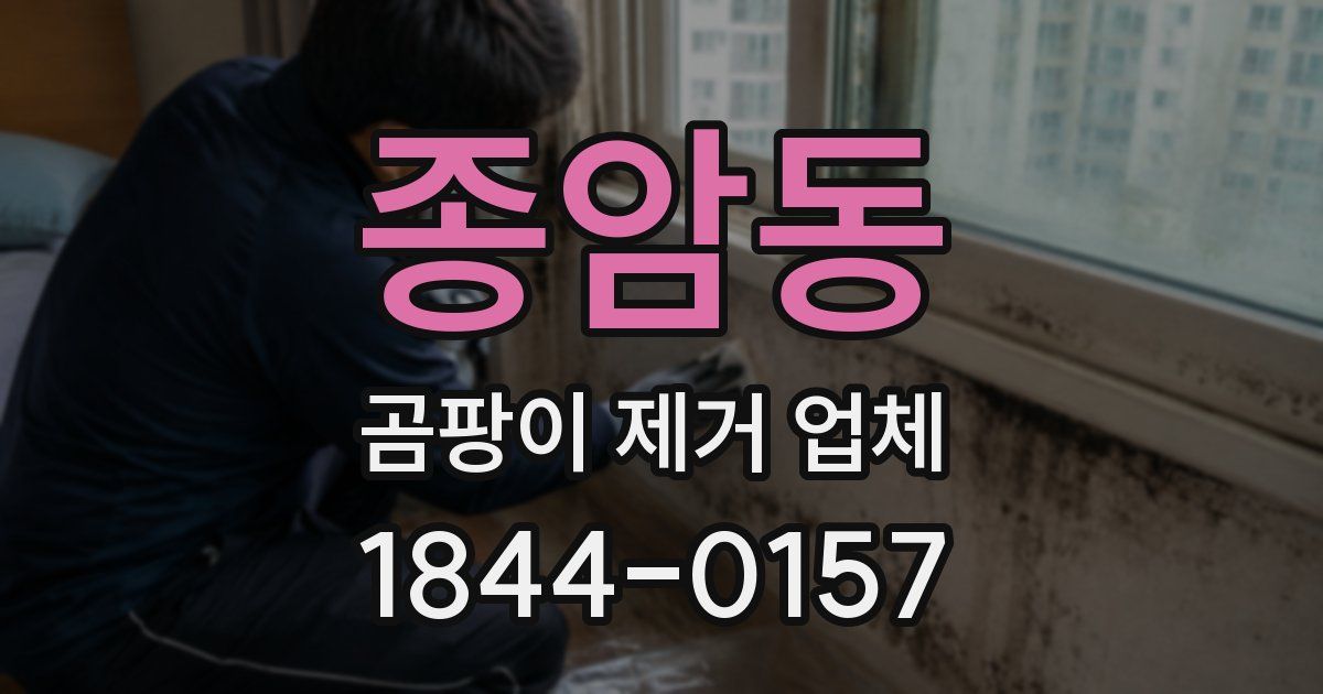 종암동 곰팡이 제거 업체