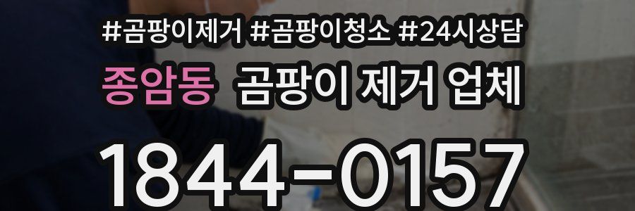 종암동 곰팡이 제거 업체