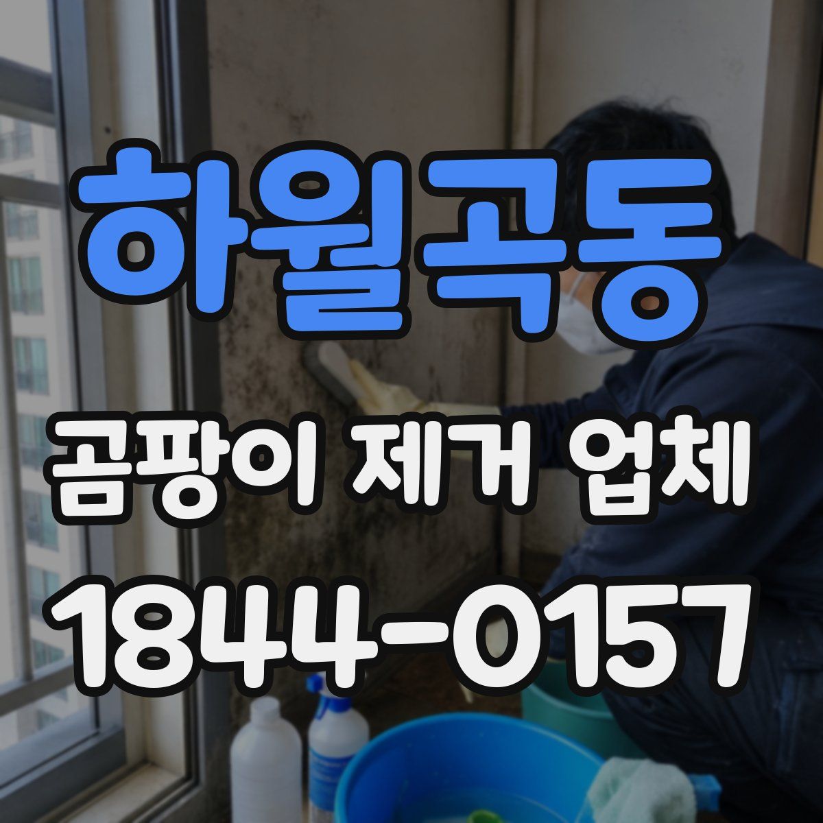 하월곡동 곰팡이 제거 업체