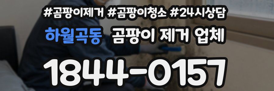 하월곡동 곰팡이 제거 업체