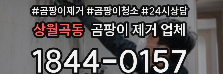 상월곡동 곰팡이 제거 업체