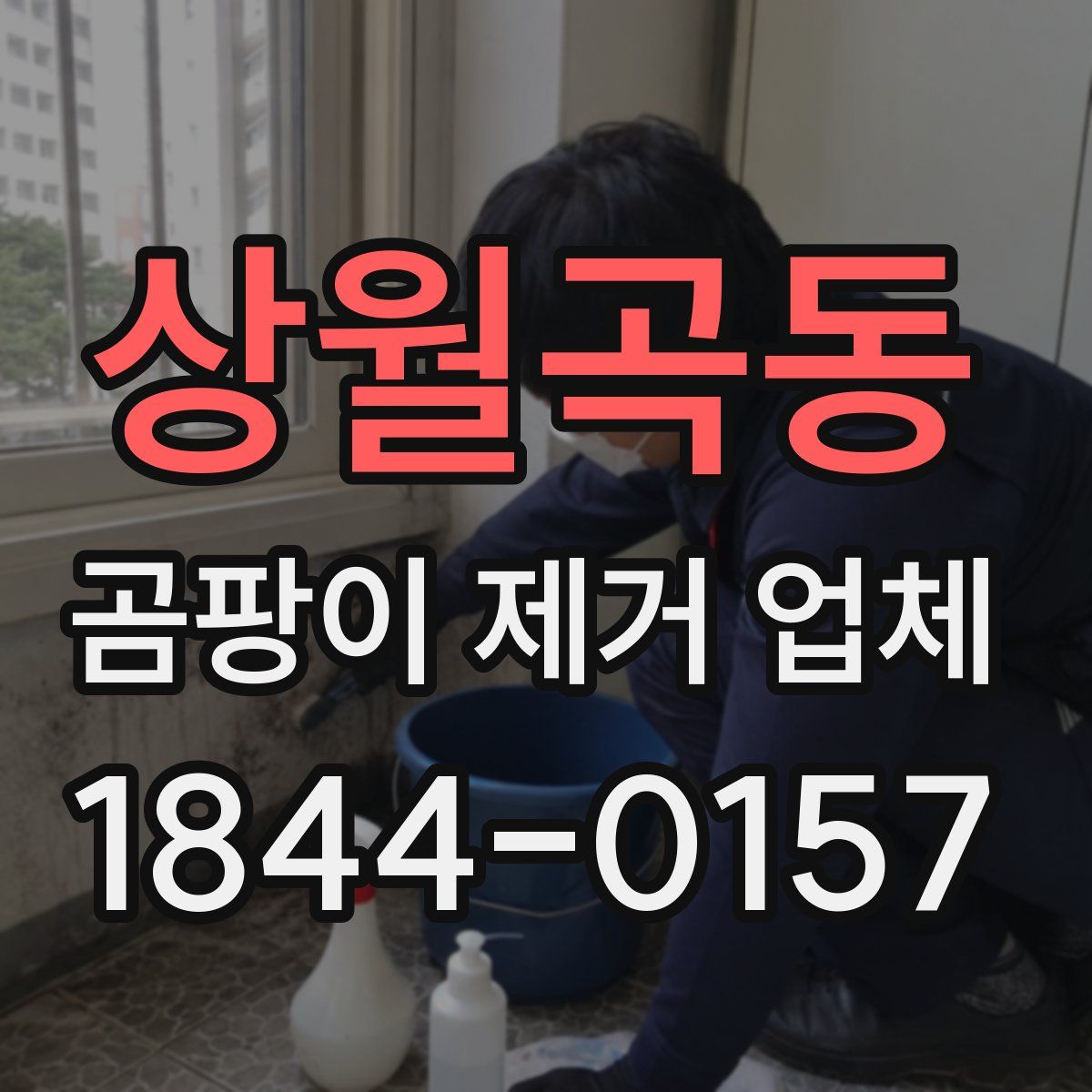 상월곡동 곰팡이 제거 업체