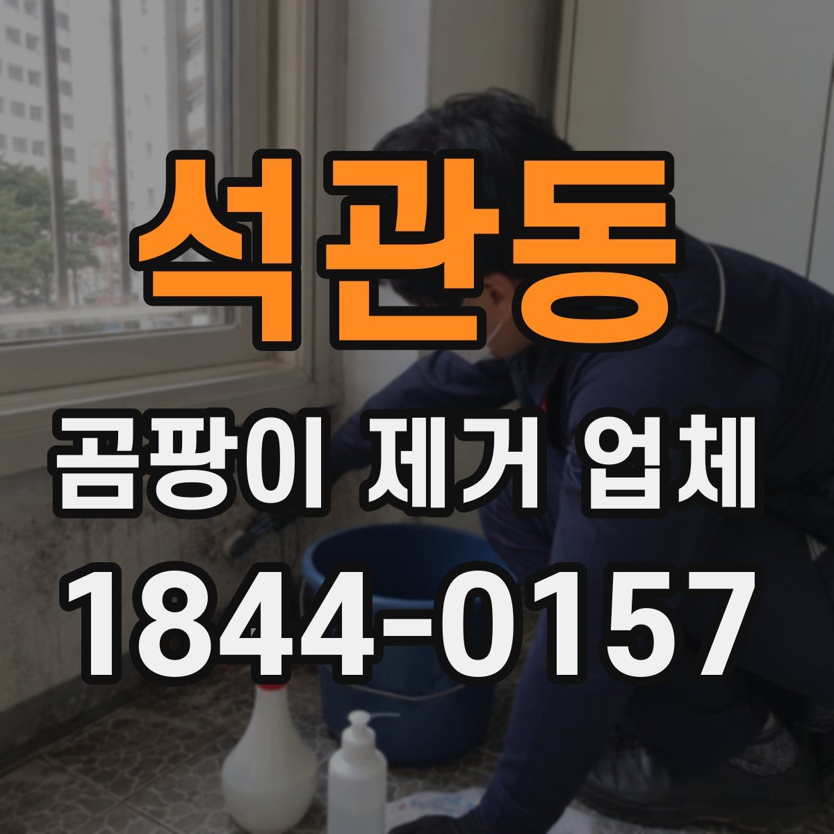석관동 곰팡이 제거 업체