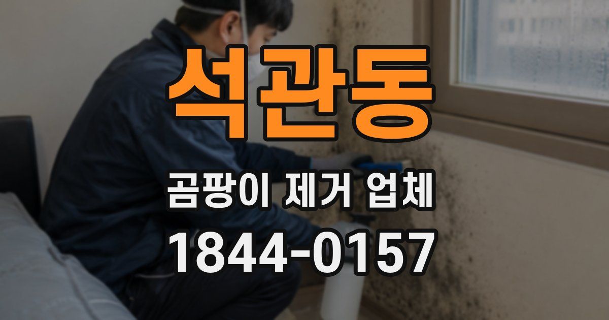 석관동 곰팡이 제거 업체