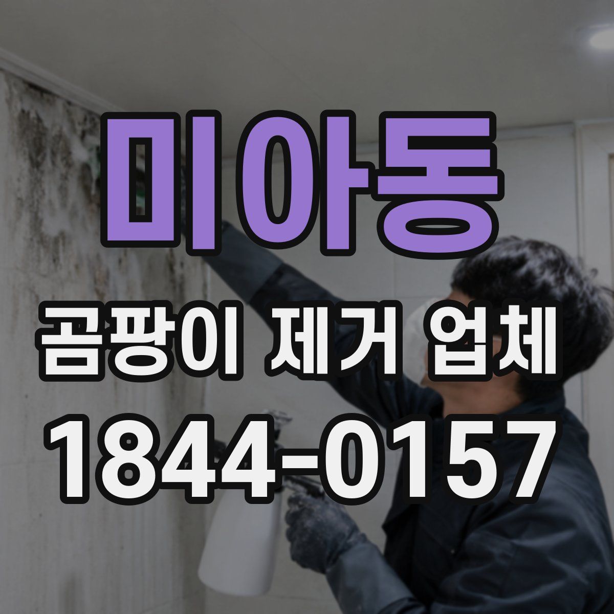 미아동 곰팡이 제거 업체