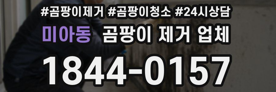 미아동 곰팡이 제거 업체