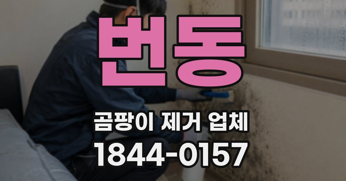 번동 곰팡이 제거 업체