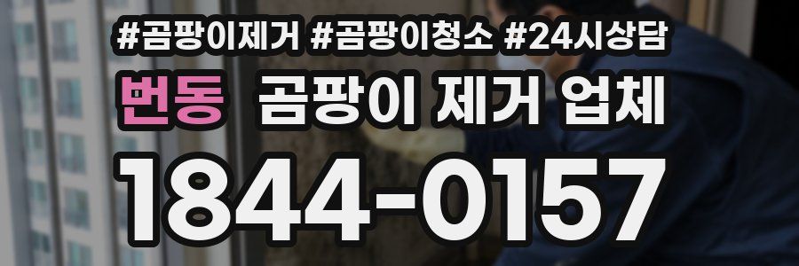 번동 곰팡이 제거 업체