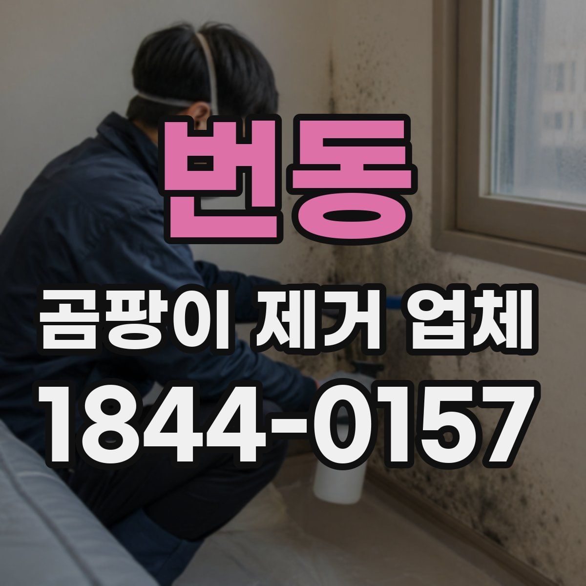 번동 곰팡이 제거 업체
