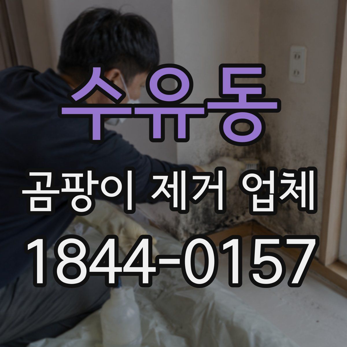 수유동 곰팡이 제거 업체