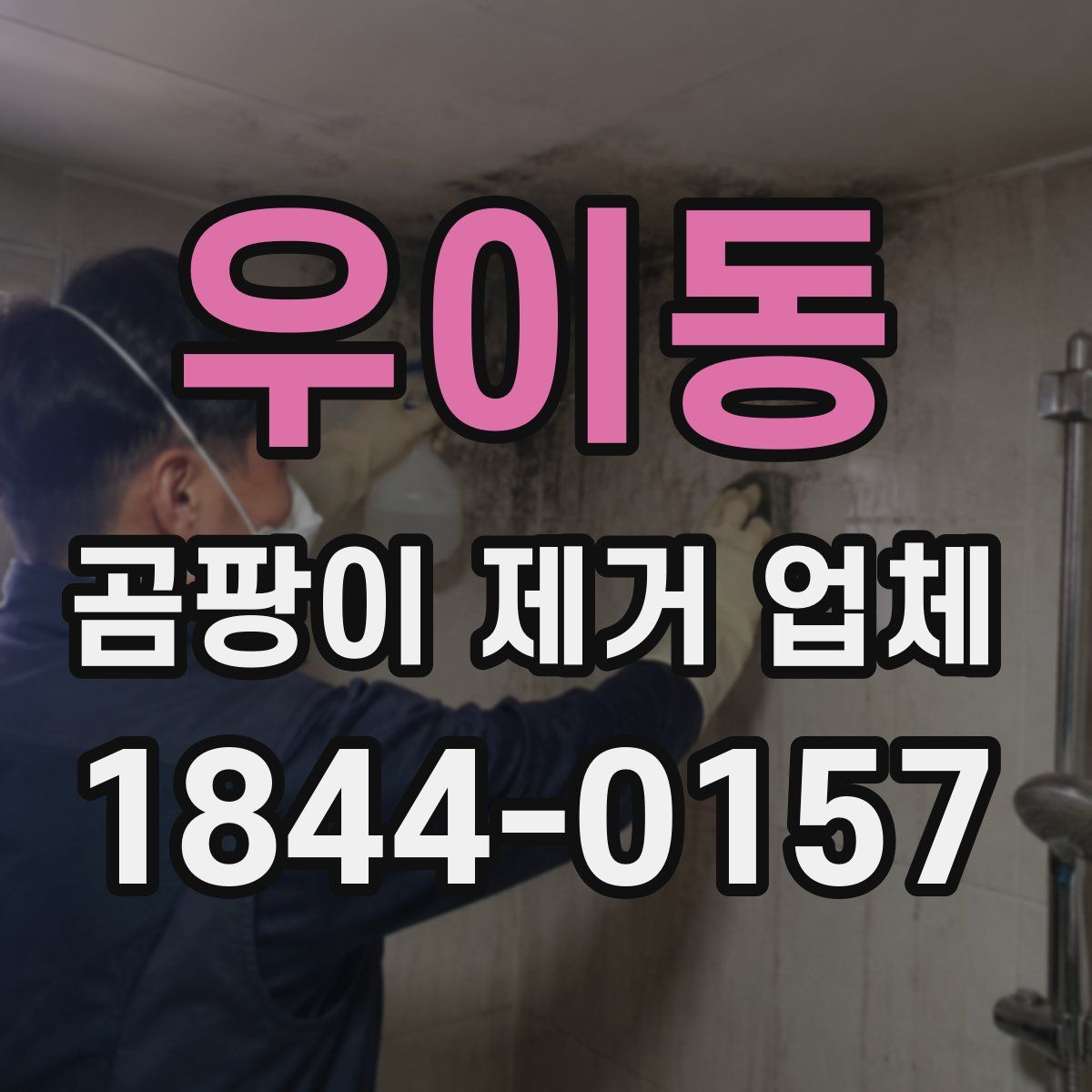 우이동 곰팡이 제거 업체