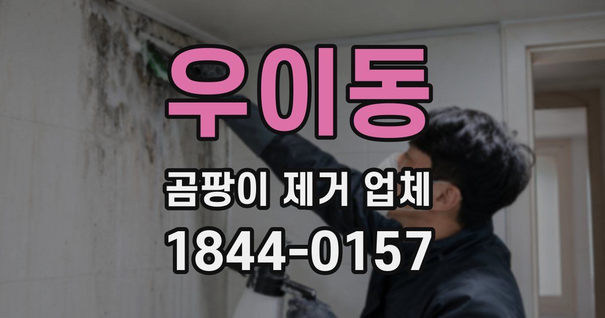 우이동 곰팡이 제거 업체