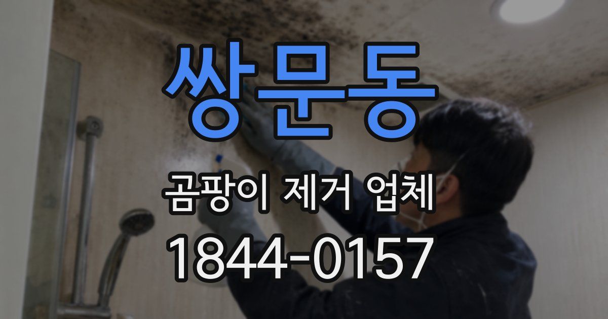 쌍문동 곰팡이 제거 업체