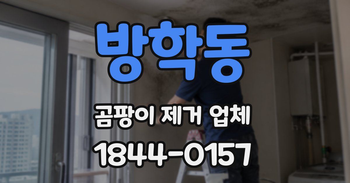 방학동 곰팡이 제거 업체