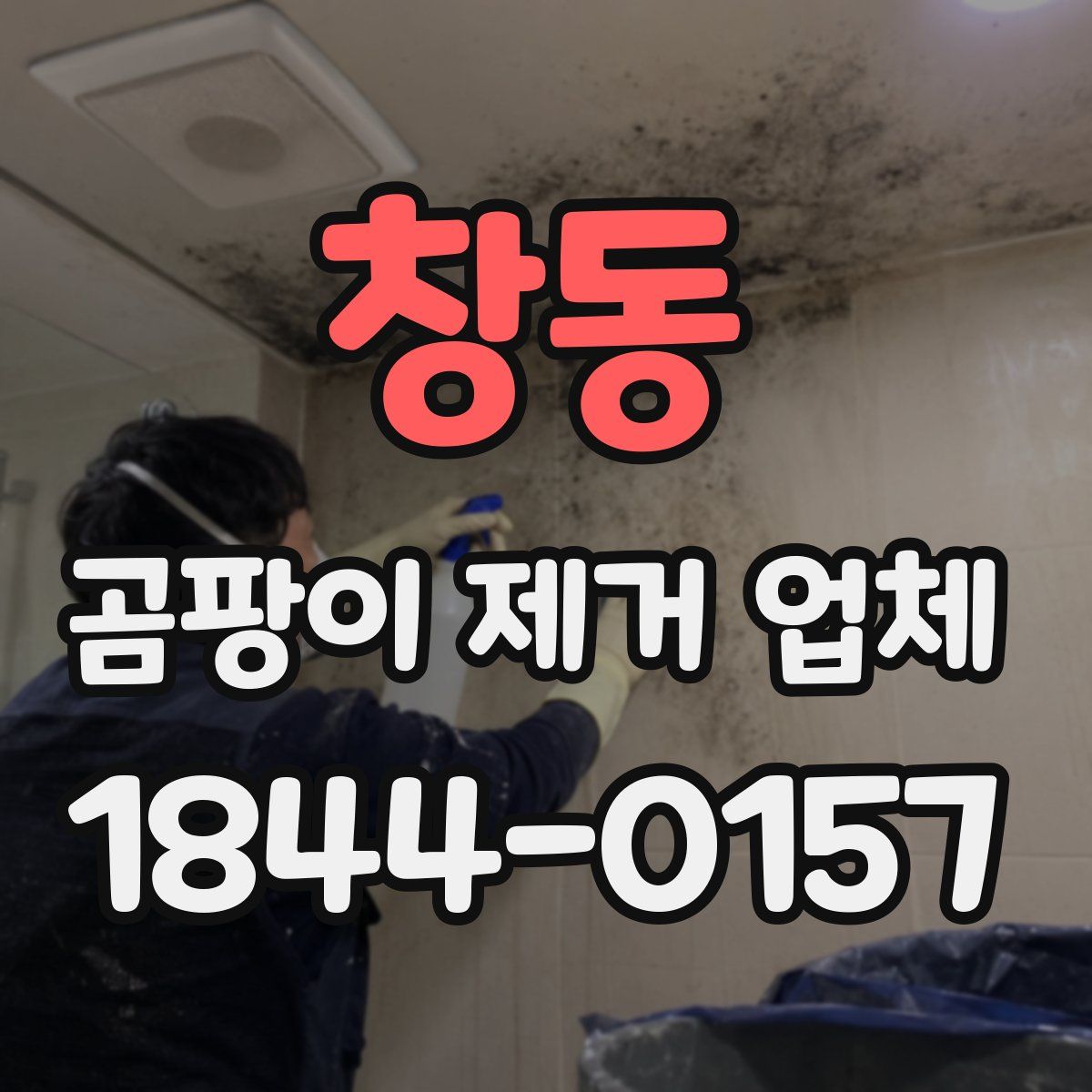 창동 곰팡이 제거 업체