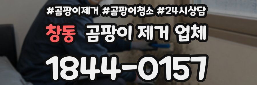 창동 곰팡이 제거 업체