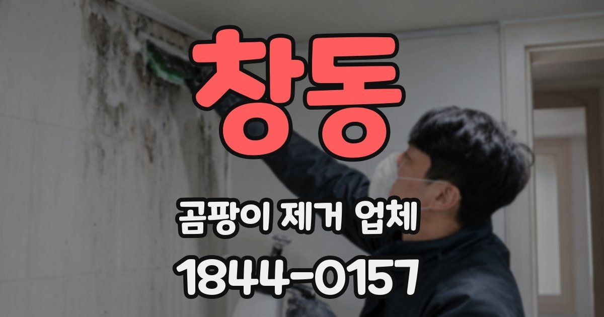 창동 곰팡이 제거 업체