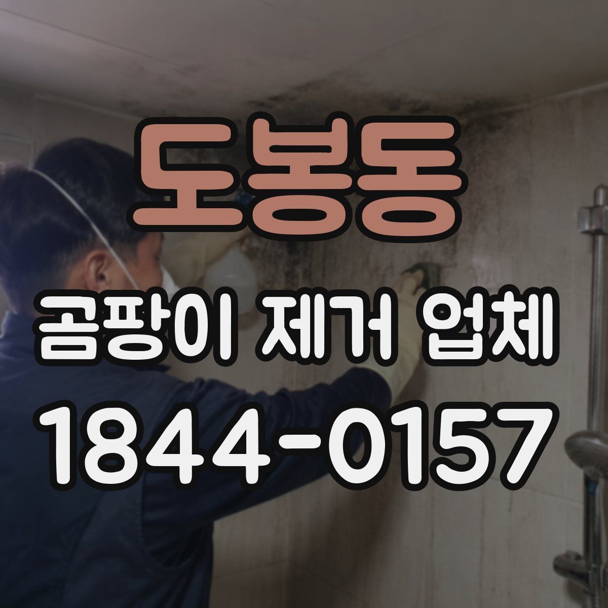 도봉동 곰팡이 제거 업체