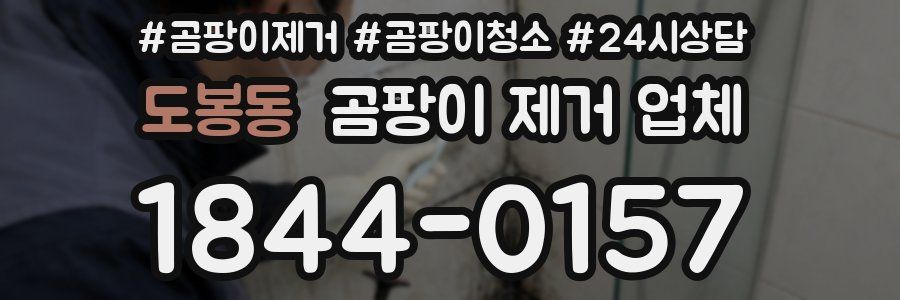 도봉동 곰팡이 제거 업체