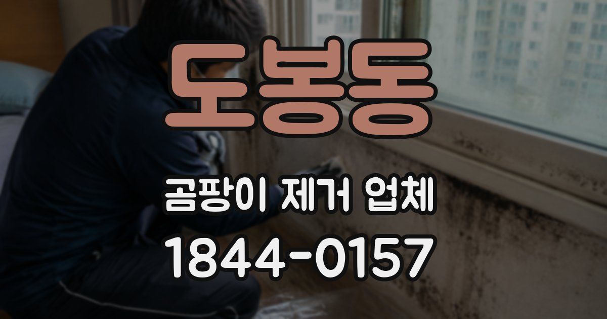 도봉동 곰팡이 제거 업체