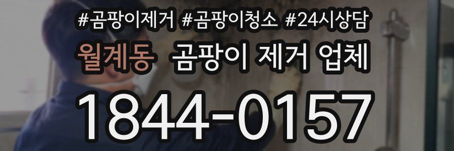 월계동 곰팡이 제거 업체