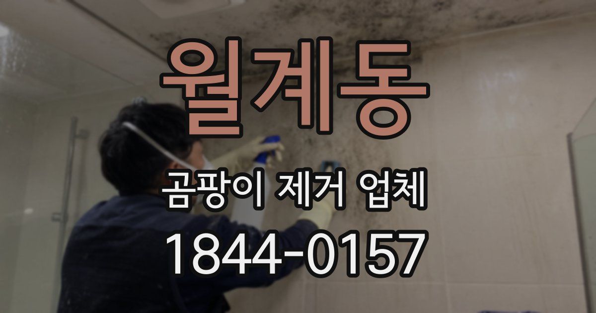 월계동 곰팡이 제거 업체