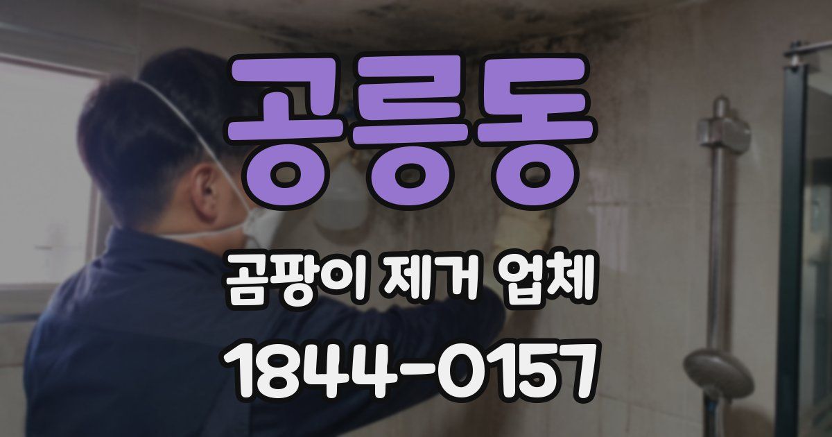 공릉동 곰팡이 제거 업체